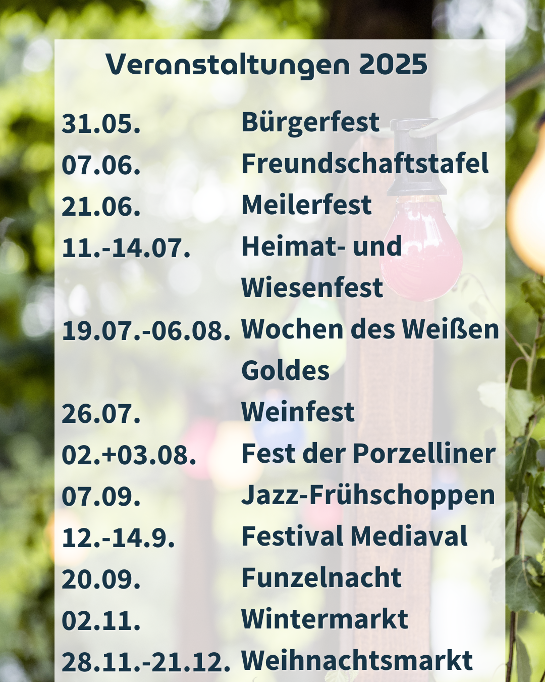 Zu sehen ist eine Übersicht über die Highlight Veranstaltungen im Jahr 2025 in Selb von Bürgerfest bis Weihnachtsmarkt